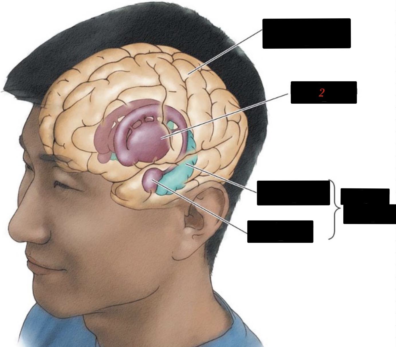 controls motor and control response