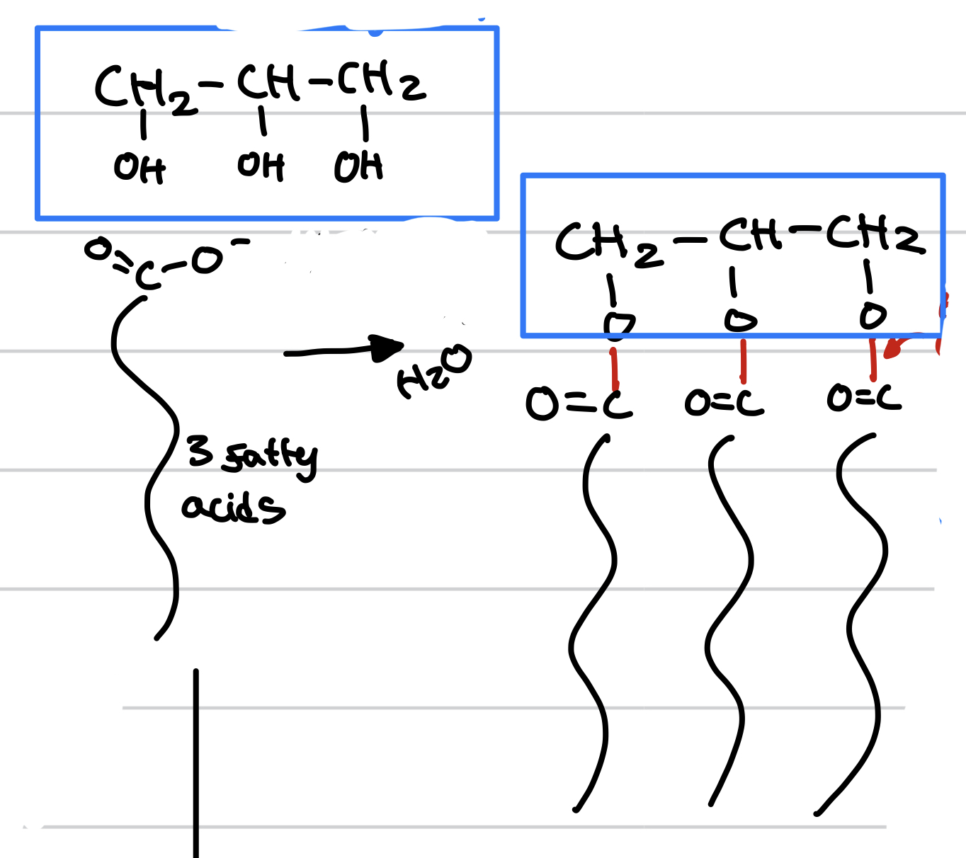 <p>this is a _ reaction with __</p>