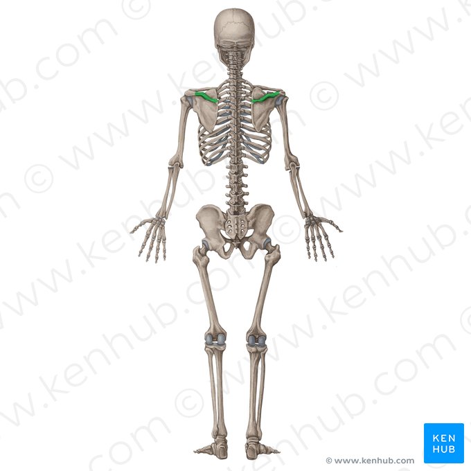 <p>What is this?</p>