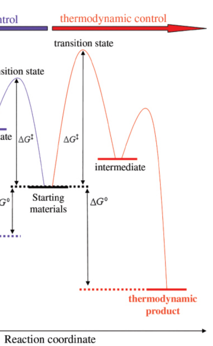 <p>products at higher temperatures; form slower than the kinetic products</p>