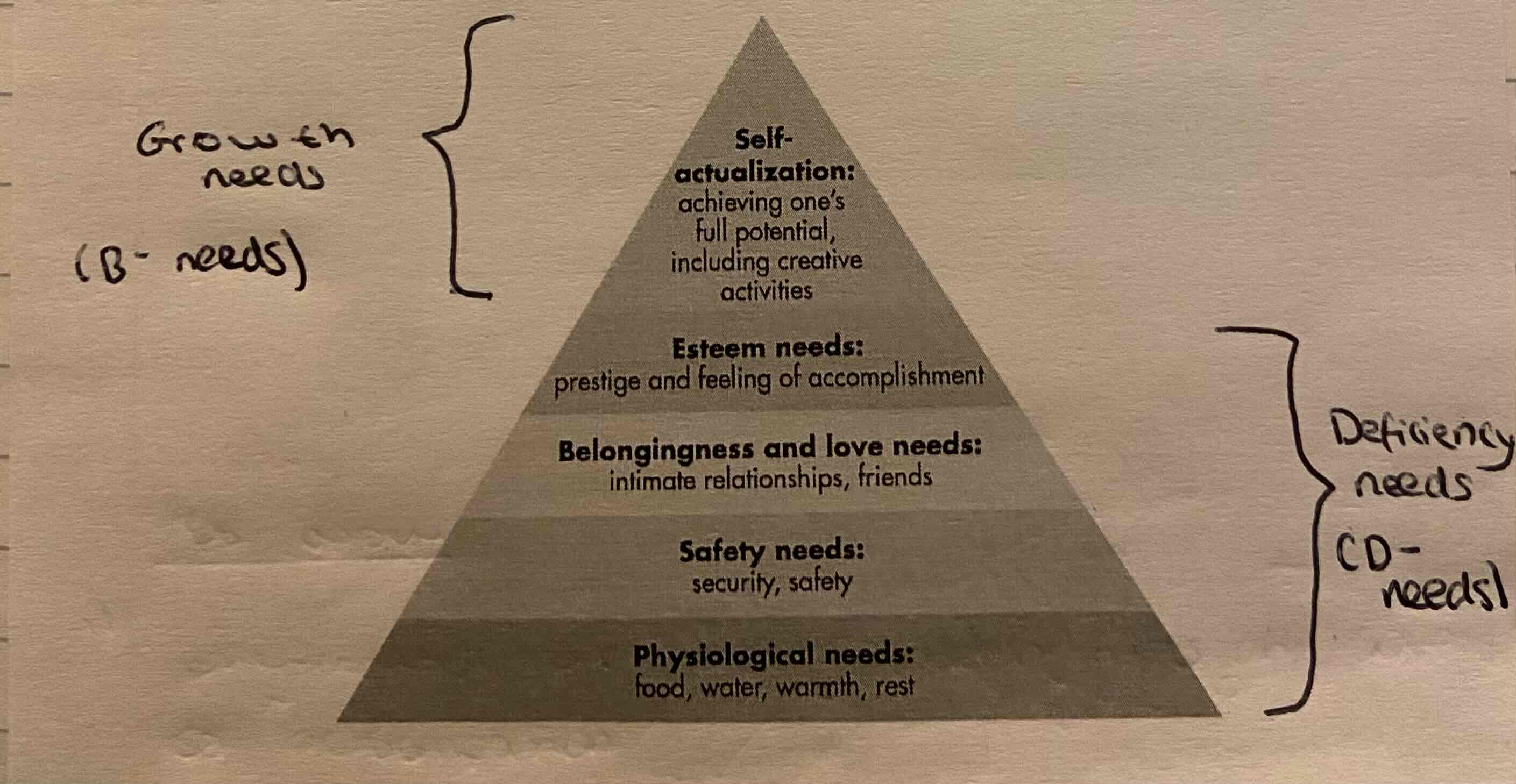 <ol><li><p>Physiological</p></li><li><p>Safety</p></li><li><p>Belongingness and love</p></li><li><p>Esteem</p></li><li><p>Self actualisation</p></li></ol>