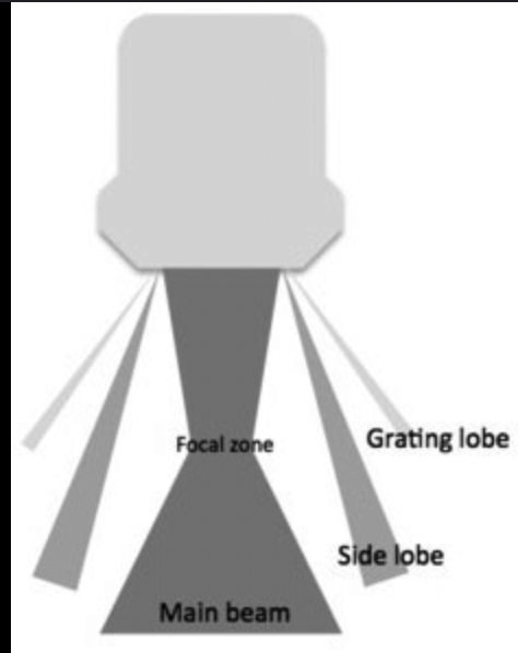 <p><strong>What are side lobes and how are they reduced?</strong></p><p class=""></p>