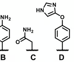 <p>which molecules can't serve as HB acceptors </p>