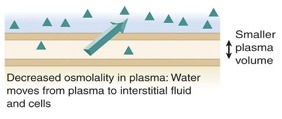 <p>what kind of IV causes water to move from plasma to interstitial space</p>