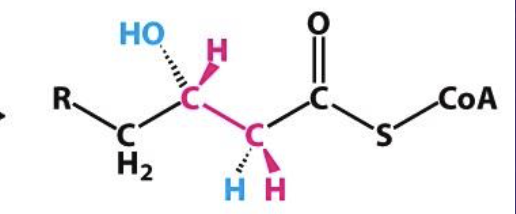 <p>What is this Structure?</p>