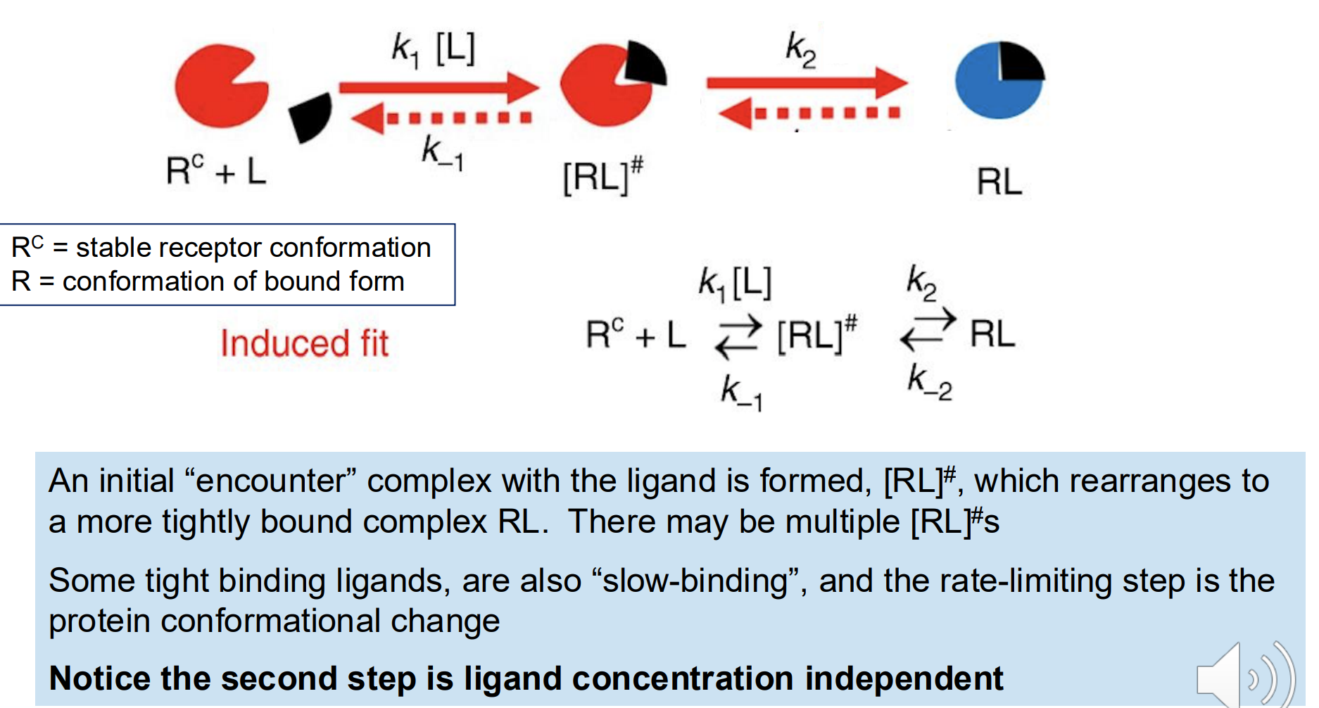 <p>A binding model in which a protein conformational change is initiated by ligand binding</p><ul><li><p>a classical mechanism that allosteric enzymes employ to regulate catalysis</p></li></ul><p></p>