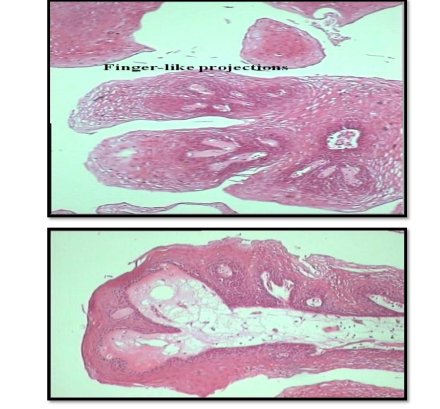 <p>Identify </p>