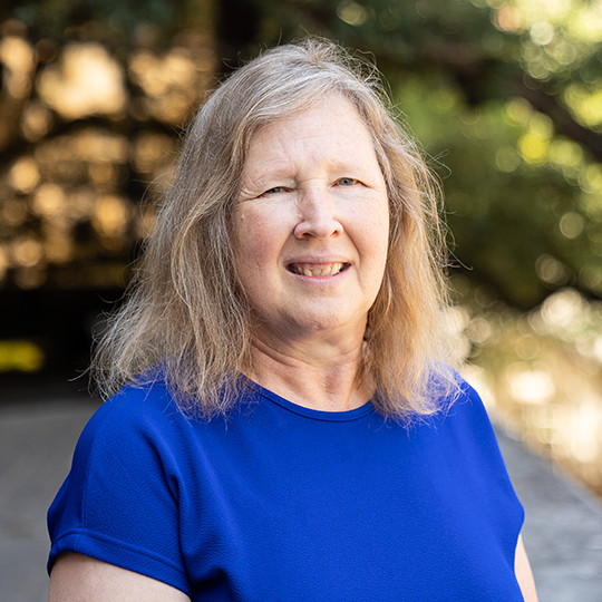 <p>Mary Ann Anderson</p><p>Lecturer</p>