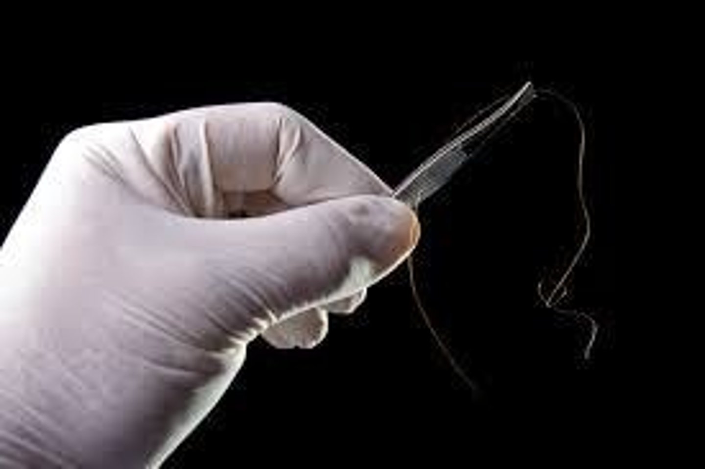 <p>Strands of hair, fingerprints, DNA, drops of blood, pollen, etc.</p>