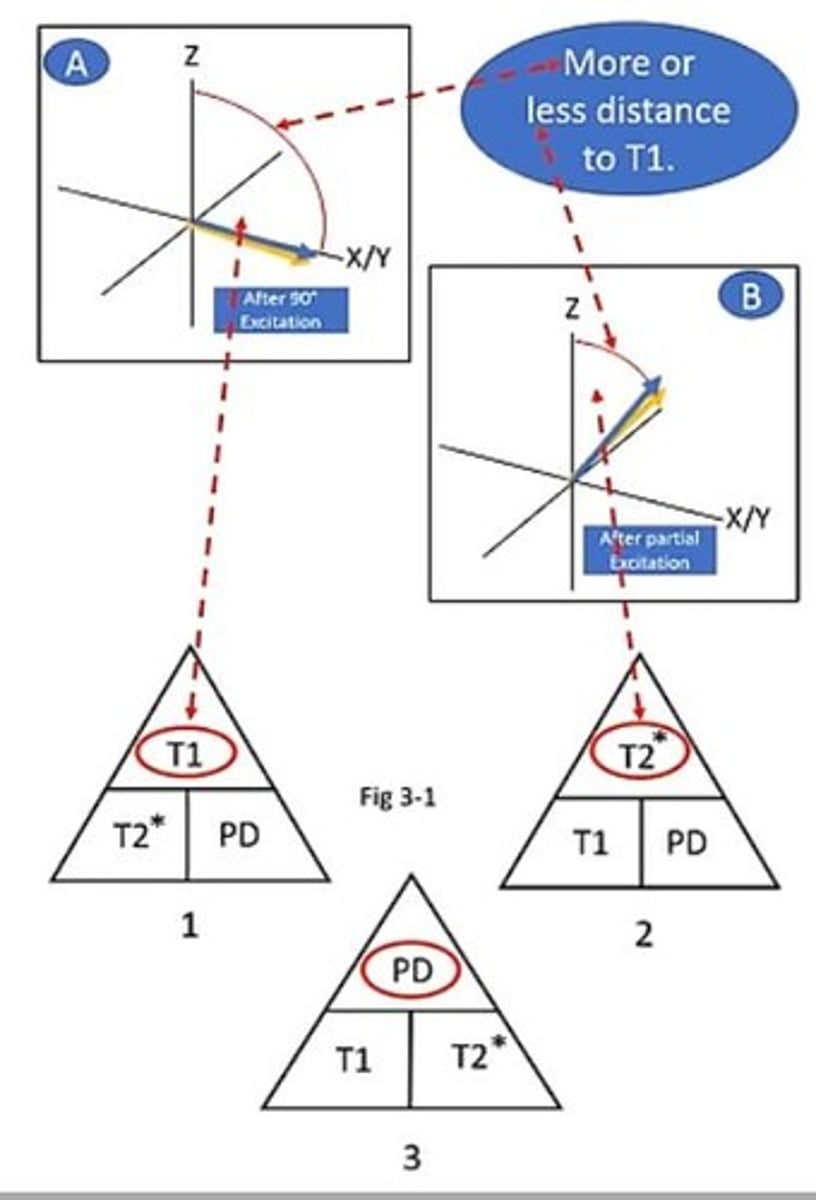 <p>T1 and T2 relaxation times and Proton Density.</p>
