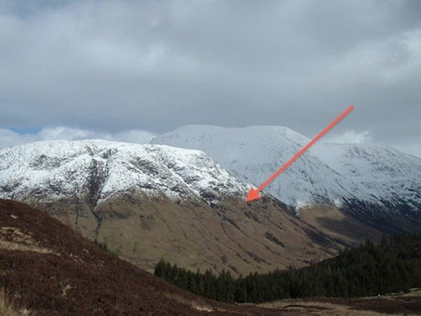 <p>The elevation above which snow remains all year long</p>