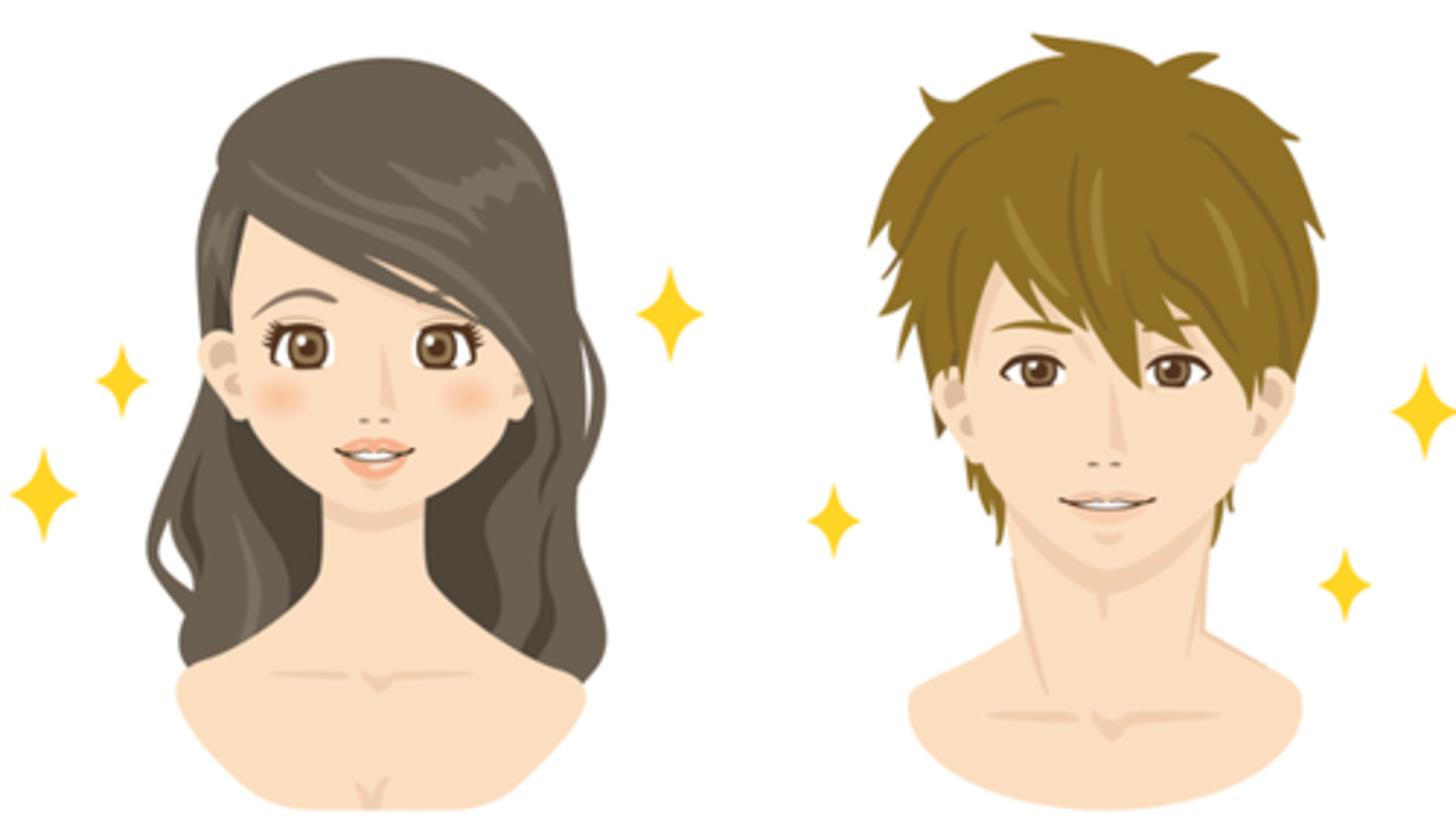 <p>ようし ngoại hình</p>