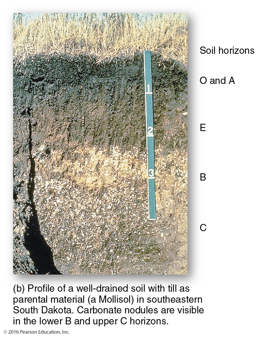 <p>what kind of soil does Illinois have?</p>