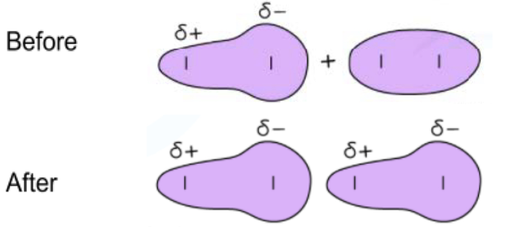 <p>when the electron orbitals around a molecule are influenced by another charged particle</p>