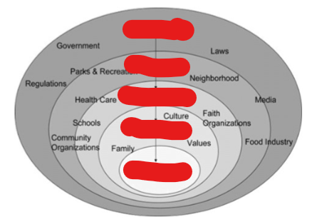 <p>Socio-ecological Model</p>