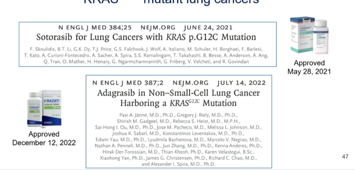 <ul><li><p>after 40 years, “druggable” after all</p></li><li><p>2021 → FDA approval of first KRAS-targeted therapy → sotorasib</p></li><li><p>2022 → adagrasib approved</p><ul><li><p>both for mutant lung cancers</p></li></ul></li></ul><p></p>
