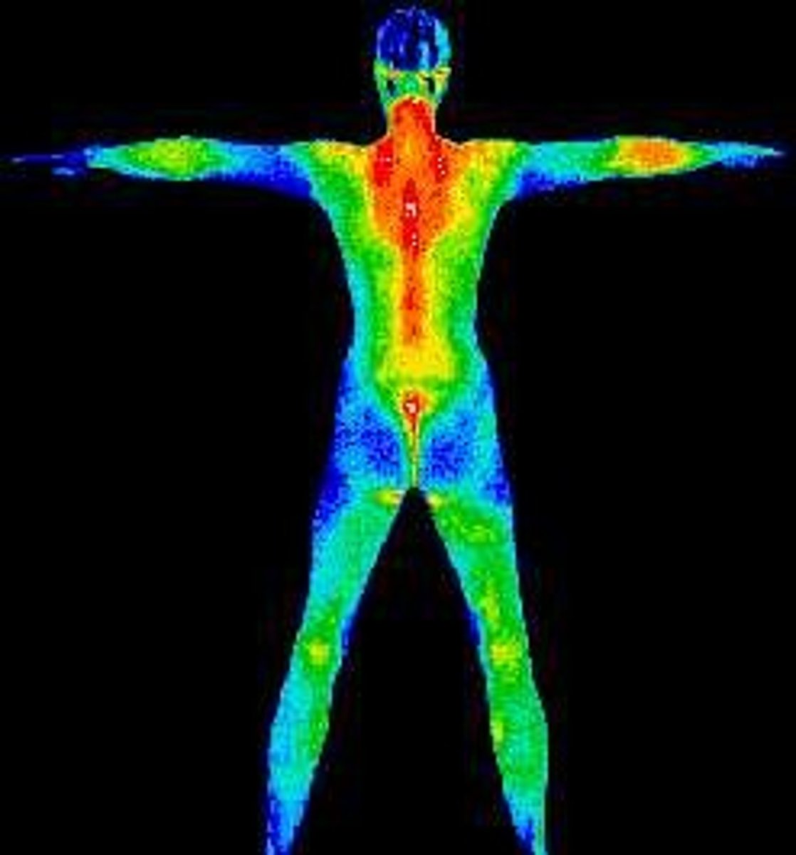 <p>invisible light felt as heat (the sun)</p>