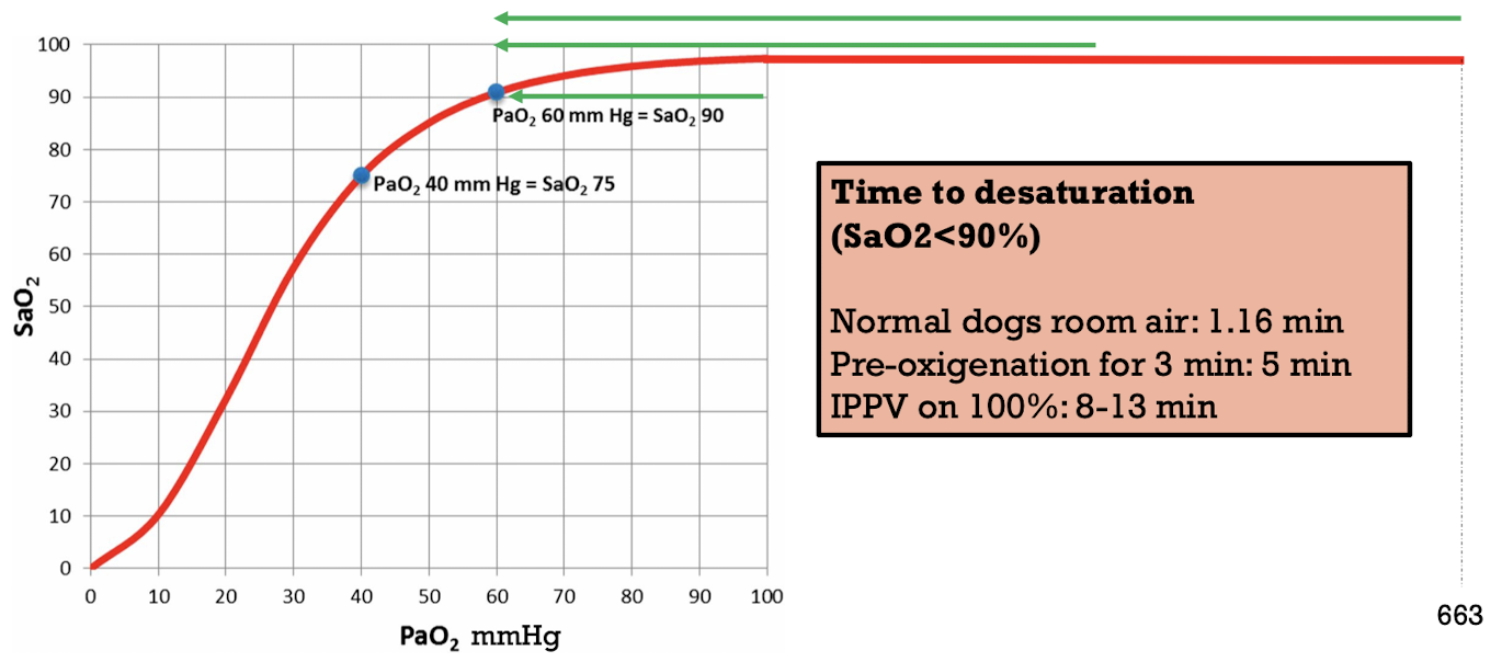 <p>&gt; 1min without spontaneous breathing → common after induction → <strong>prevent by pre-oxygenating animal </strong></p><ul><li><p>excessive depth </p></li><li><p>additional drugs </p></li><li><p>hypocarbia → ventilating too much </p></li><li><p>excessive work to ventilate </p></li><li><p>inability to ventilate </p></li><li><p>cardiopulmonary arrest </p></li></ul><p></p>