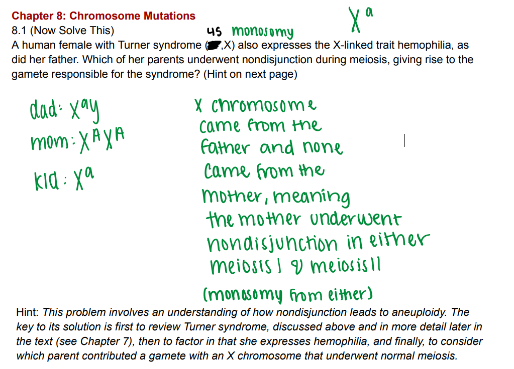 <p>Mother underwent nondisjunction in either meiosis I or meiosis II</p>