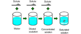 <p>concentrated solutions that dissolved the max amnt of solute </p>