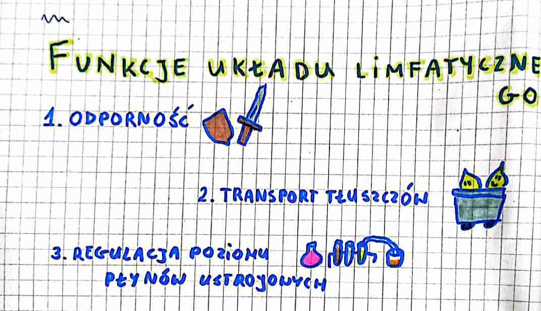 <ul><li><p>odporność</p></li><li><p>transport tłuszczów</p></li><li><p>regulacja poziomu płynów ustrojowych</p></li></ul><p></p>