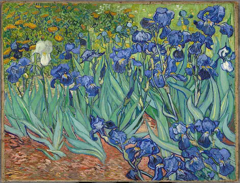 <p>Irises (1889)</p>
