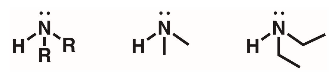 <p>2 of the hydrogens of ammonia replaced with R groups </p>