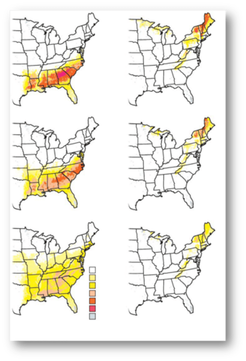 <p>147 bird species in the eastern U.S&gt; using data from North American Breeding Bird Survey (BBS)</p><p>-----------------</p><p>- Used climate, elevation, tree species distribution to predict current bird distributions.</p>