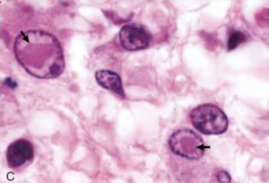 <p>What is this image showing?</p>