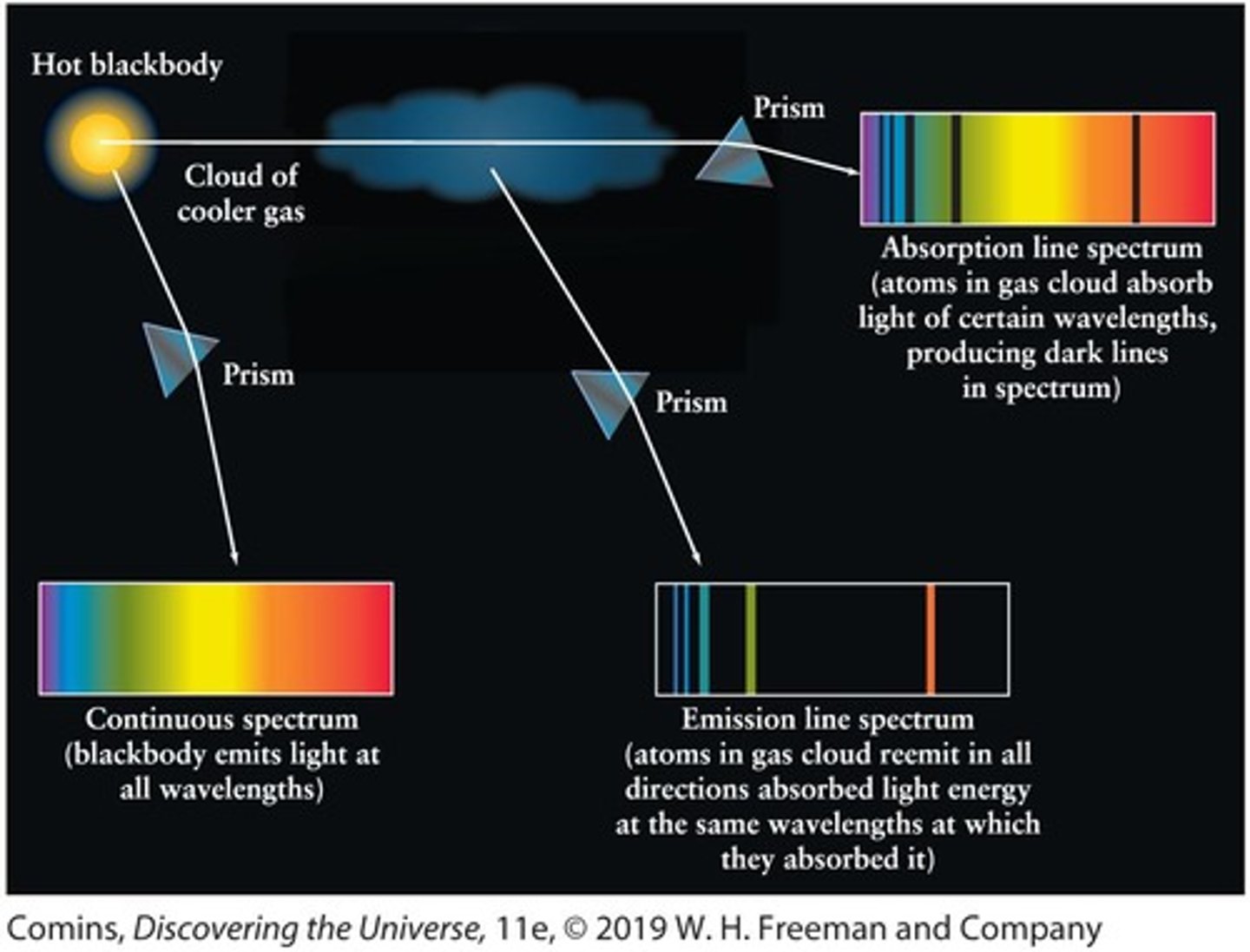 <p>The light from an object with a continuous spectrum that passes through a cool gas produces an absorption line spectrum, a series of dark spectral lines among the colors of the rainbow.</p>