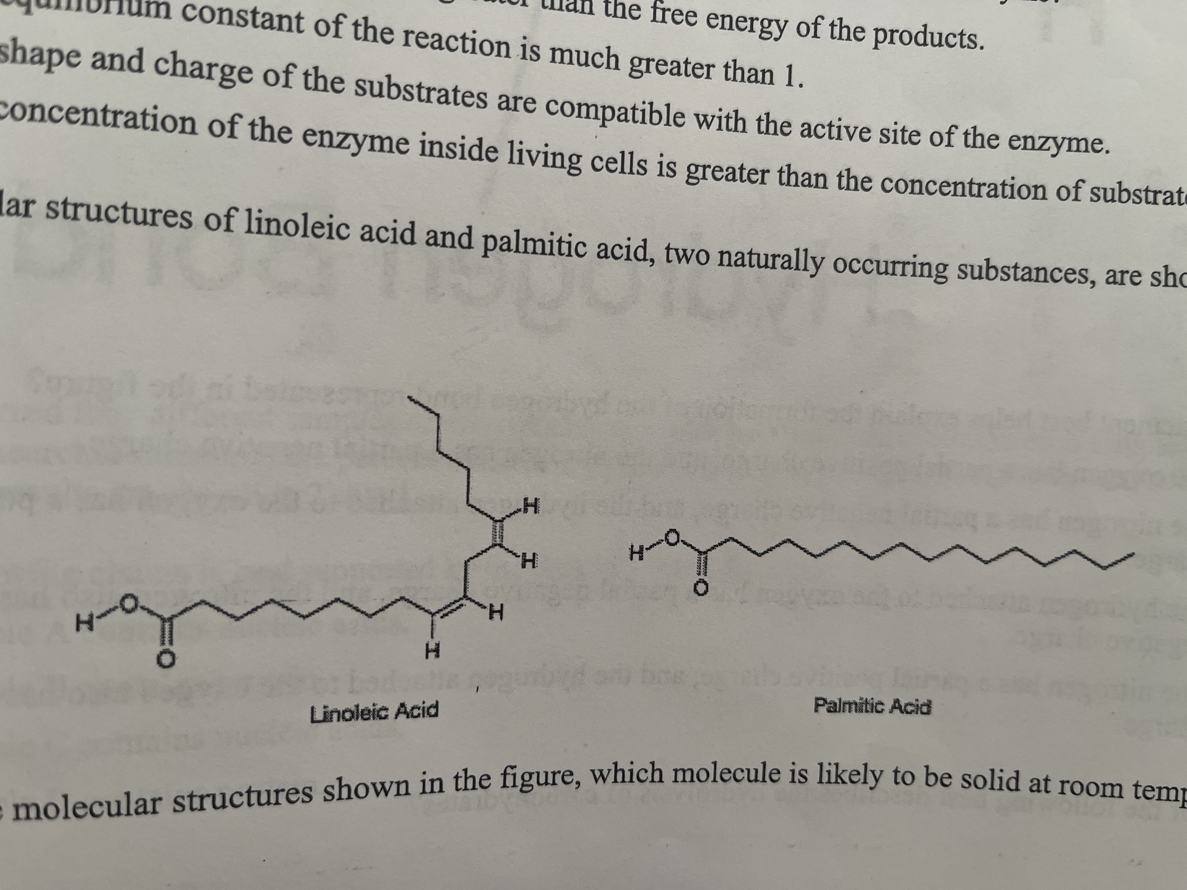 <p>The molecular structures of linoleic acid and palmitic, two naturally occurring substances, are shown in the figure. </p><p>Based on the molecular structures show in the figure, which molecule is likely to be solid at room temperature? </p>