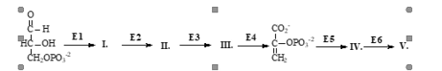 <p>II, IV</p>