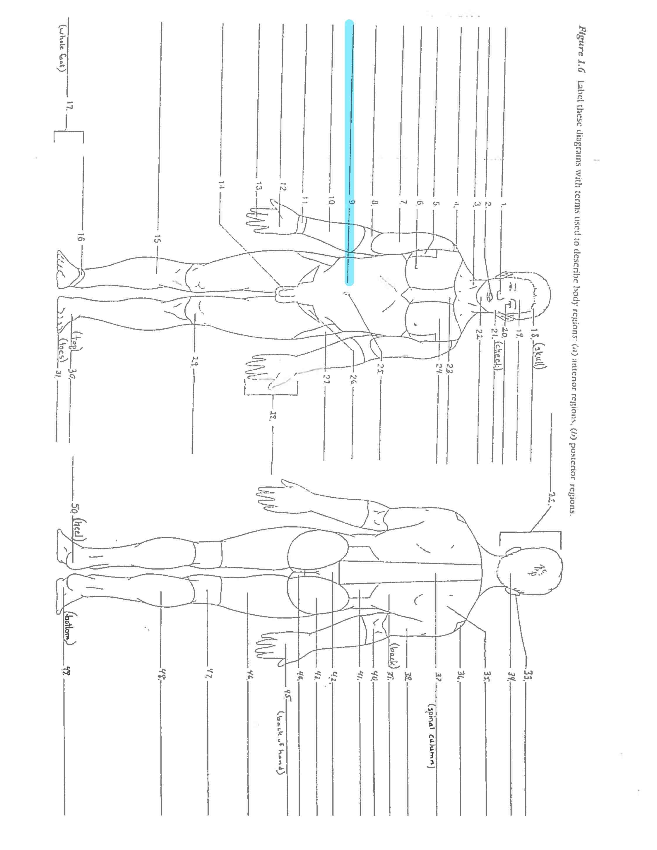 <p>Line 9</p>