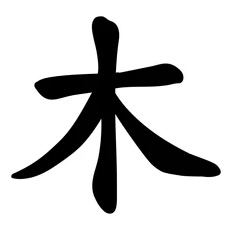 <p><strong>木</strong></p><p></p>