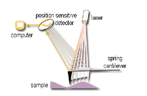 <p><span style="background-color: transparent;">measures surface topography with a probe, </span><span>the tip</span><br><span>is repelled by or attracted to the surface, the cantilever beam deflects, the magnitude of the deflection is captured by a laser that reflects at an oblique angle from the very end of the cantilever</span></p>