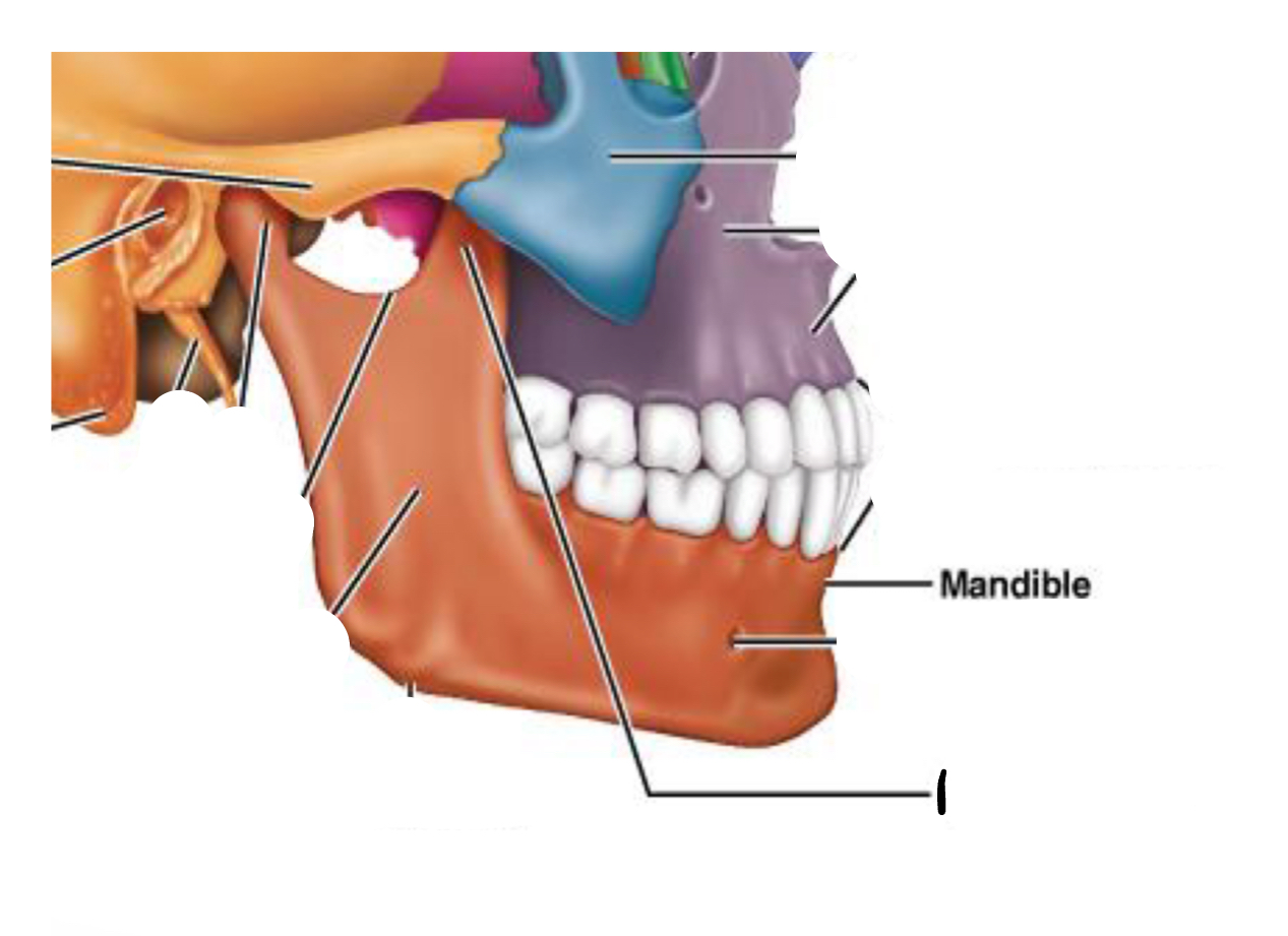 <p>1</p>