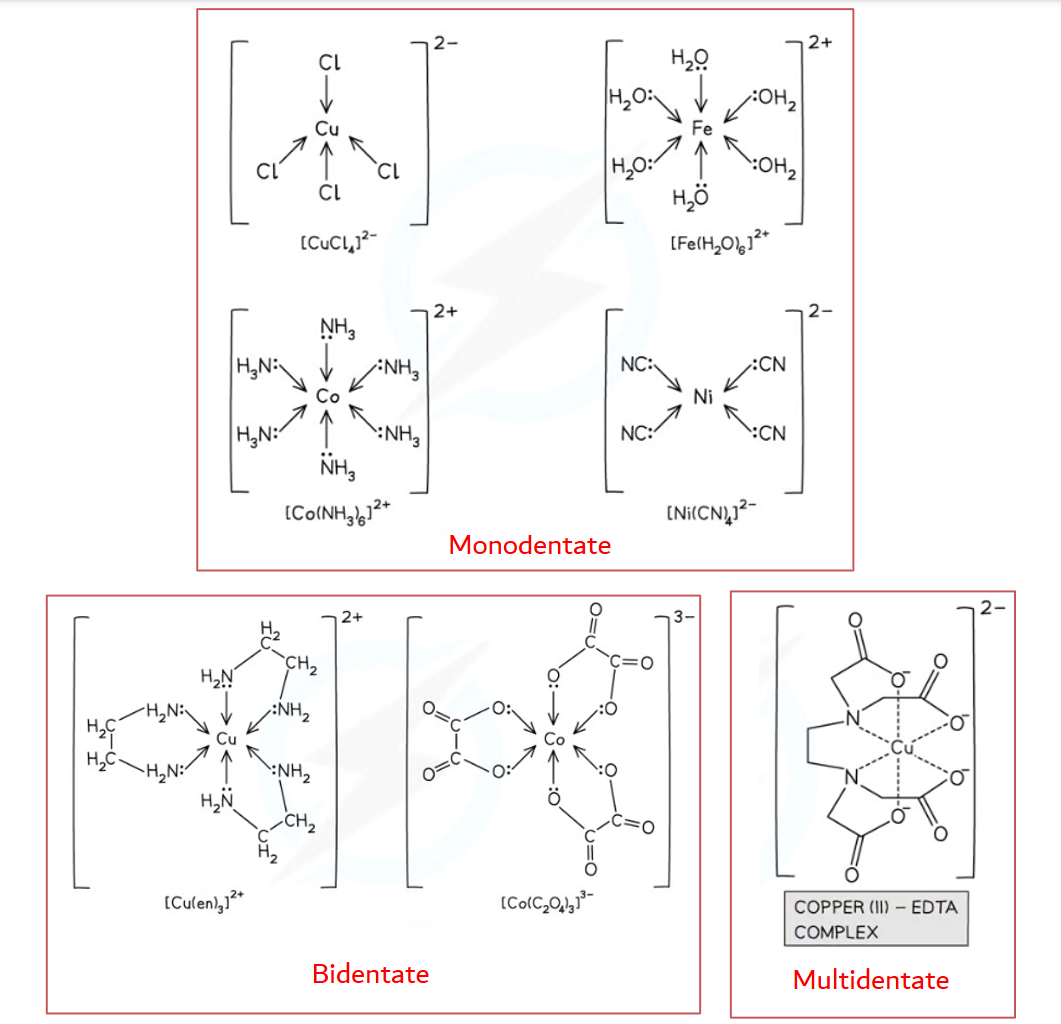 <ul><li><p><strong>Monodentate</strong>- can <strong>only</strong> form <strong>one dative covalent bond</strong> to the central metal ion (only contains one atom with a lone pair), eg. <span><strong>water, ammonia, chloride ions, and cyanide ions</strong></span></p></li><li><p><span><strong>Bidentate</strong>- can form </span><strong>two&nbsp;</strong><span>dative bonds to the central metal ion </span>(contains two atoms with a lone pair), <span>eg. <strong>1.2-diaminoethane (‘en’), ethandioate ions (‘ox’)</strong></span></p></li><li><p><span><strong>Multidentate</strong>- </span>can form <strong>more than two&nbsp;</strong>dative bonds to the central metal ion (contains more than two atoms with a lone pair), eg. <span><strong>EDTA</strong></span><strong><sup>4-</sup></strong>(hexadentate)</p></li></ul><p></p>