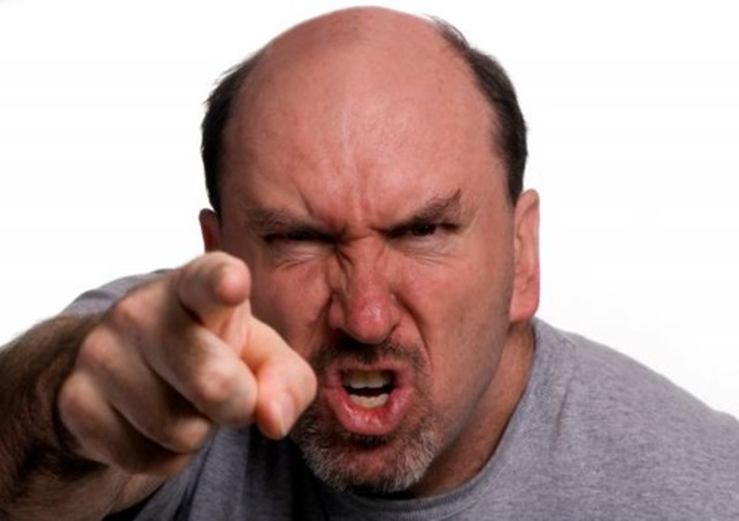 <p>fear and aggression</p>