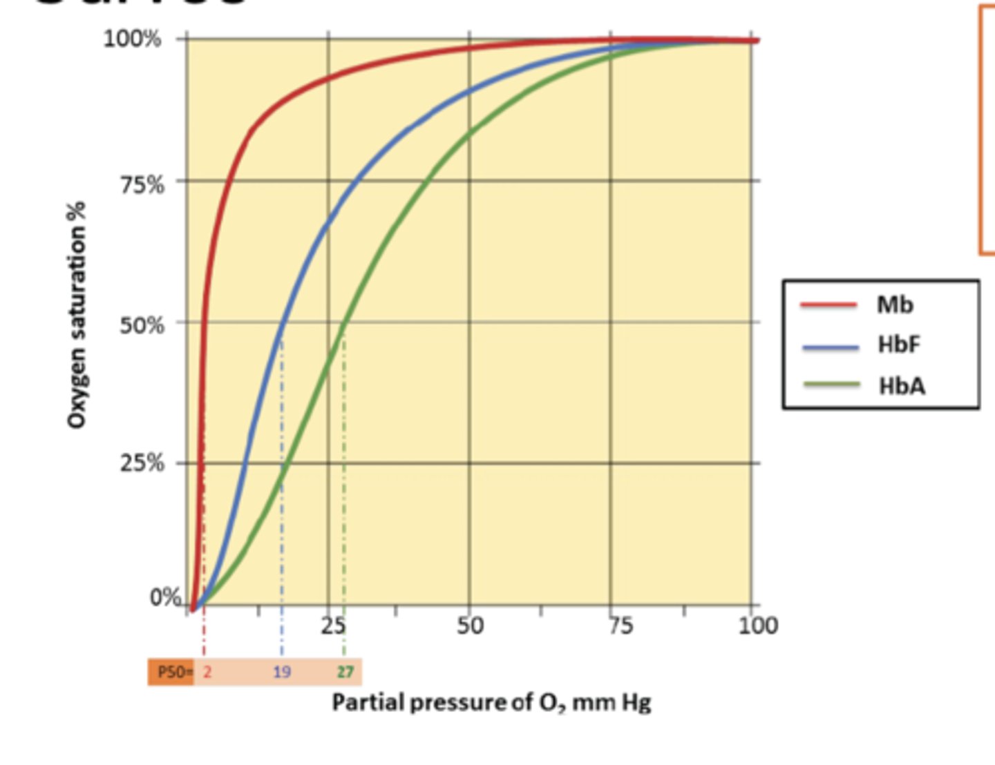 <p>partial pressure of o2, oxygen saturation. Myoglobin best binding to o2, then fetus is better. Fetus needs to grow faster so more o2 compared to adults. Fetal hemoglobin diff development/size but same DNA is same used.</p><p>myoglobin, fetus, adult left to right</p>