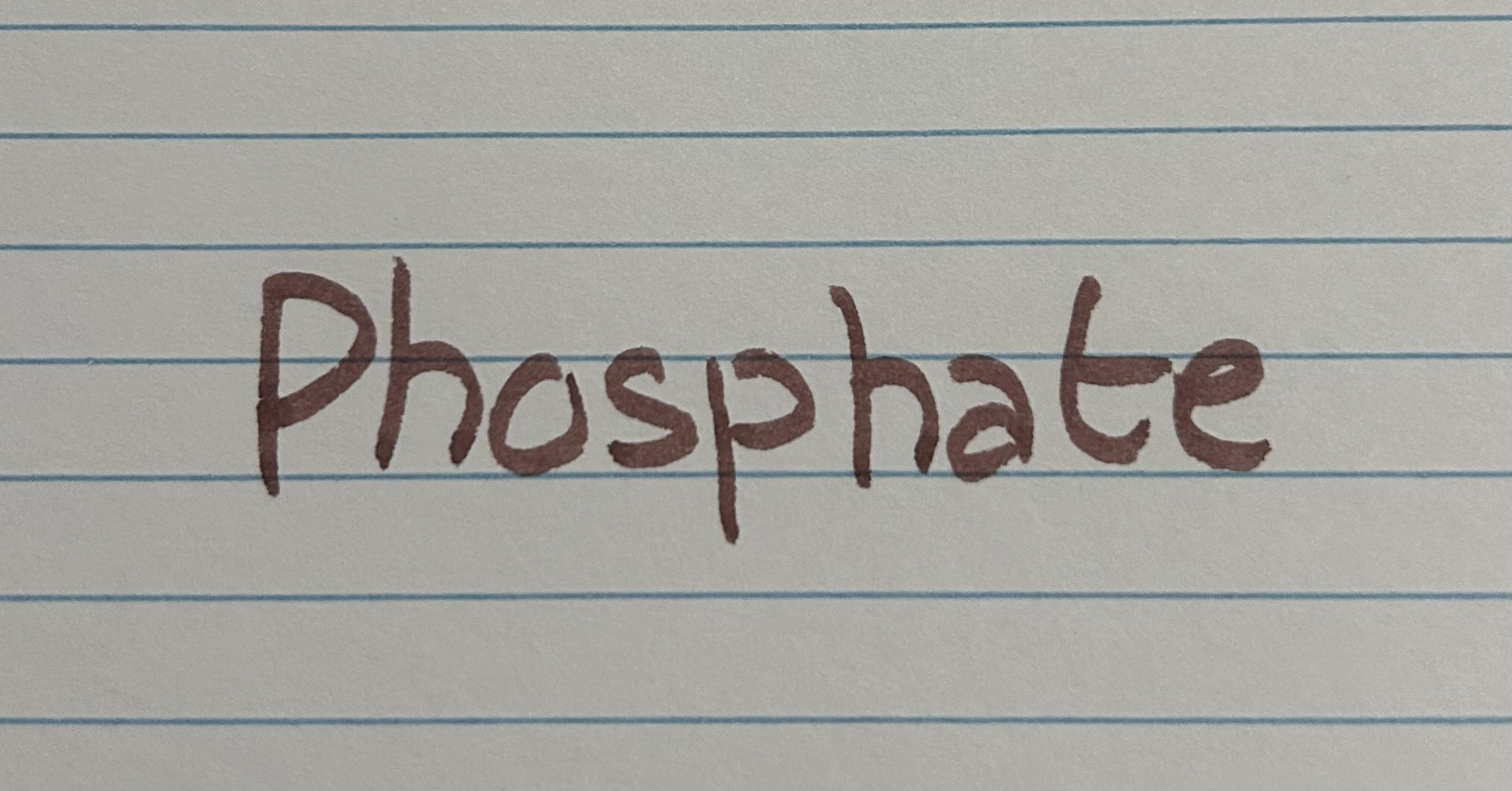 knowt flashcard image
