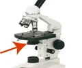 <p>What part of the microscope is this?</p>