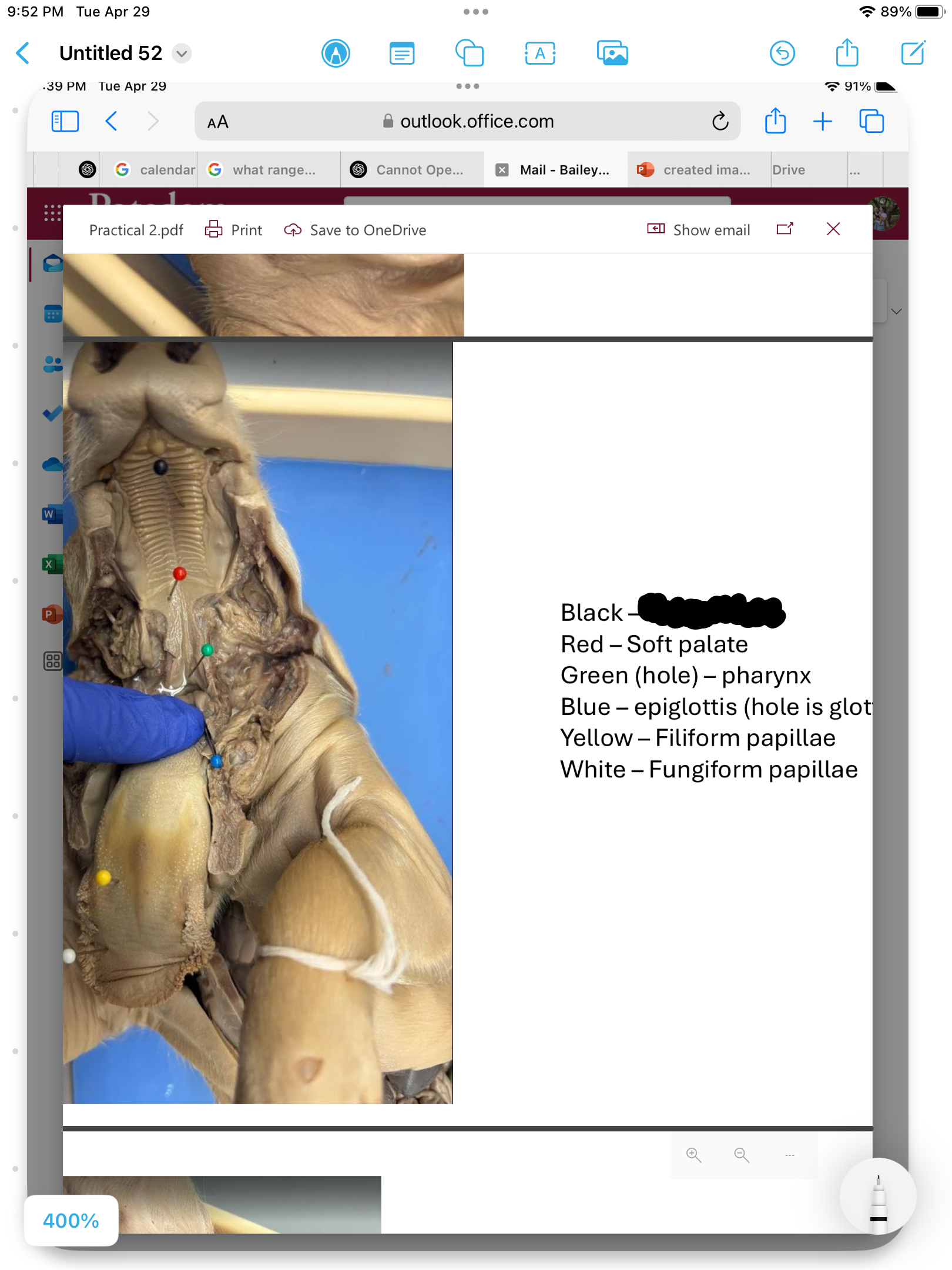 <p>label the area</p>