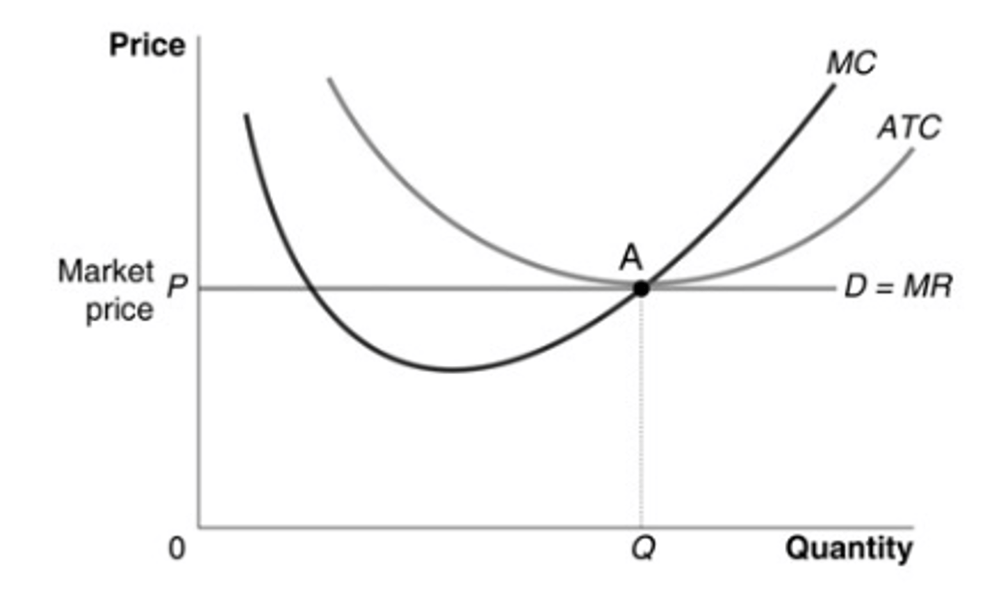 <p>c. The firm earns zero economic profit.</p>