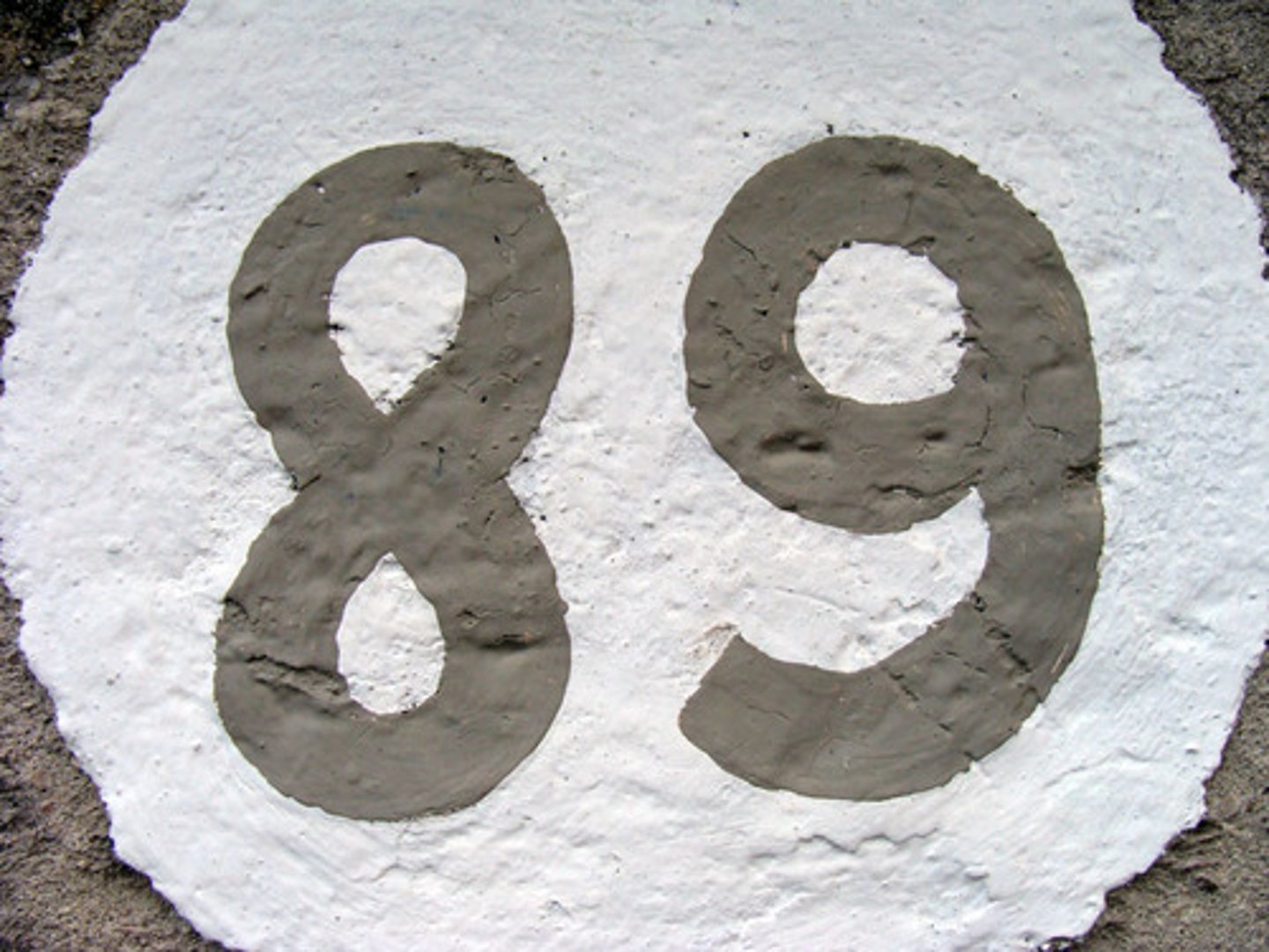 <p>ochenta y nueve</p>