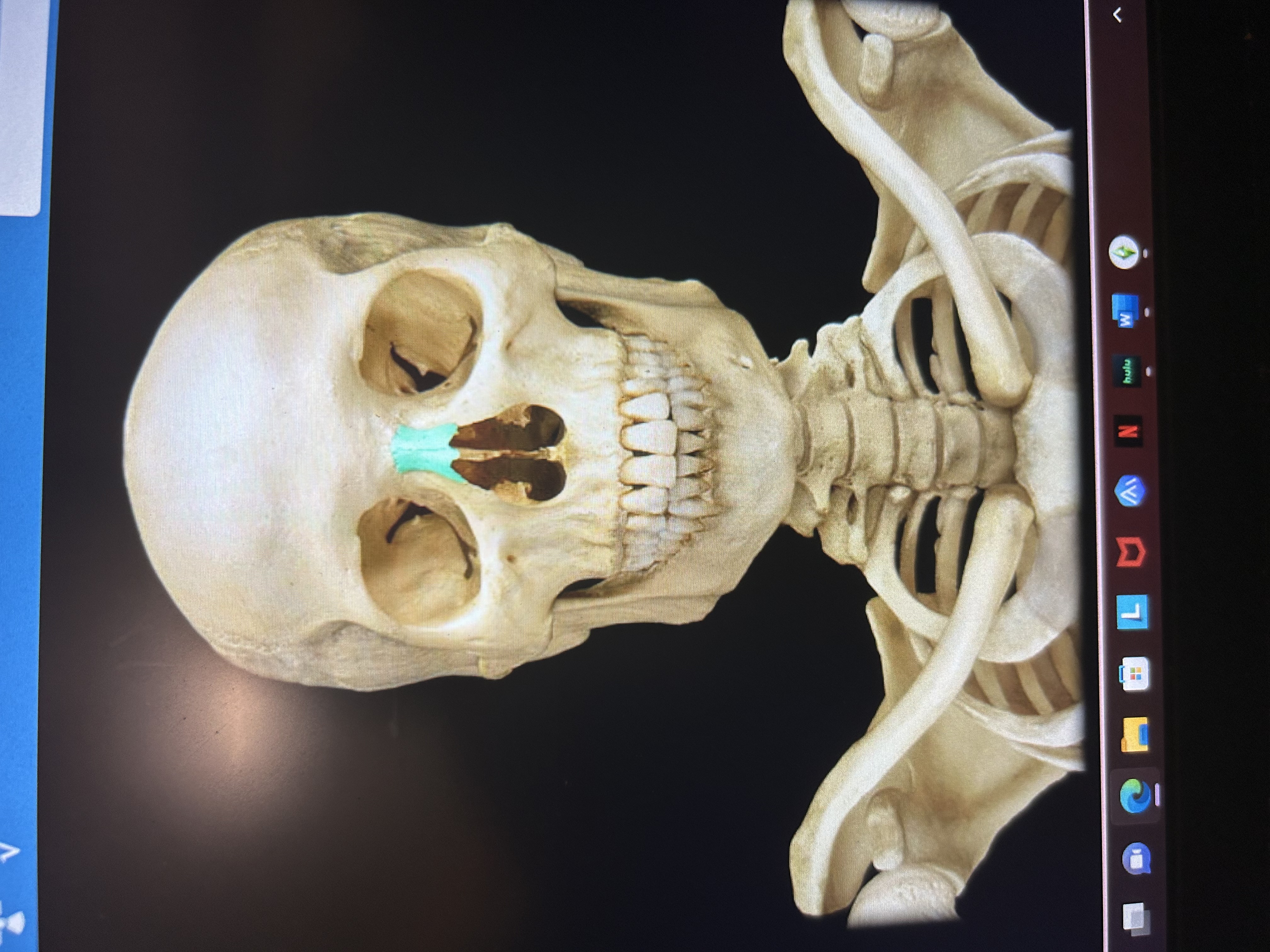 knowt flashcard image