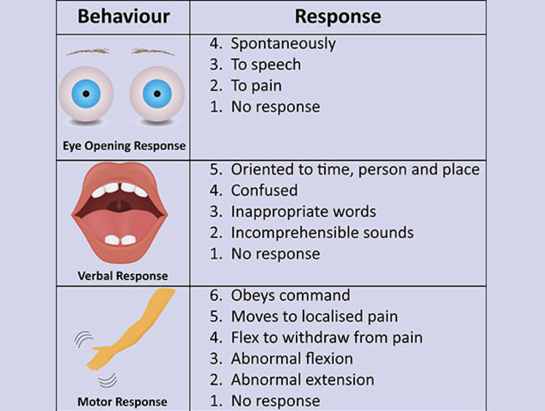 <ul><li><p>15 possible points</p></li><li><p>GCS of 3-8 = severe</p></li><li><p>GCS of 9-12 = moderate</p></li><li><p>GCS of 13-15 = mild</p></li></ul>