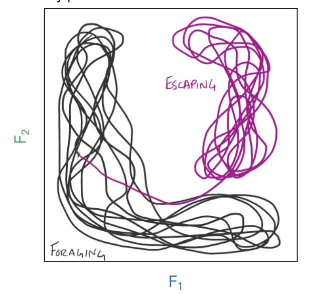 <p>space that phase trajectory tends to evolve toward</p>