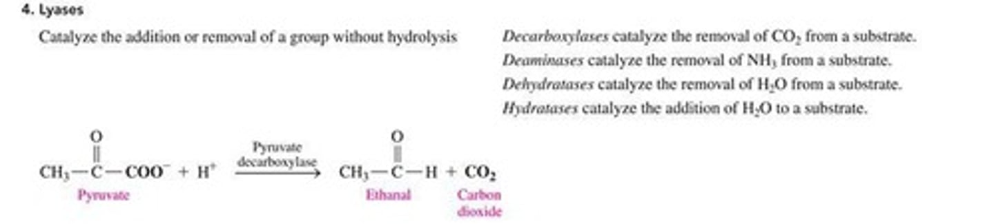 <p>They add or remove groups without the use of water.</p>