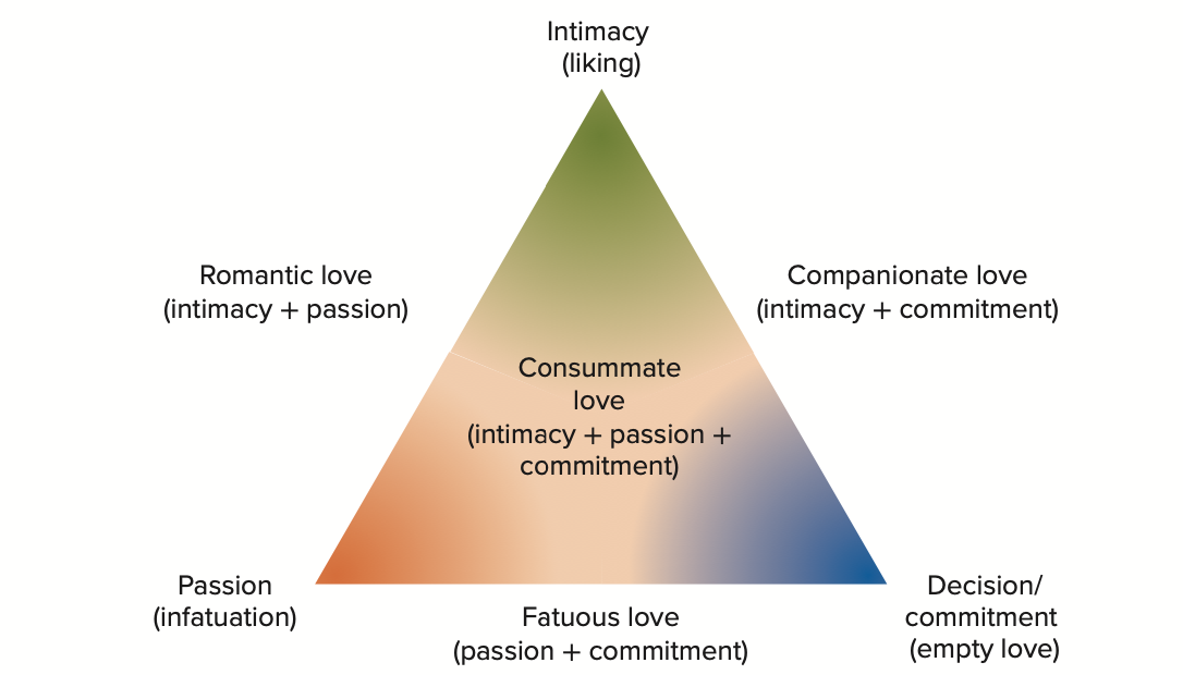 <p>Intimacy → liking </p><p>Passion → infatuation</p><p>Commitment → empty love </p>