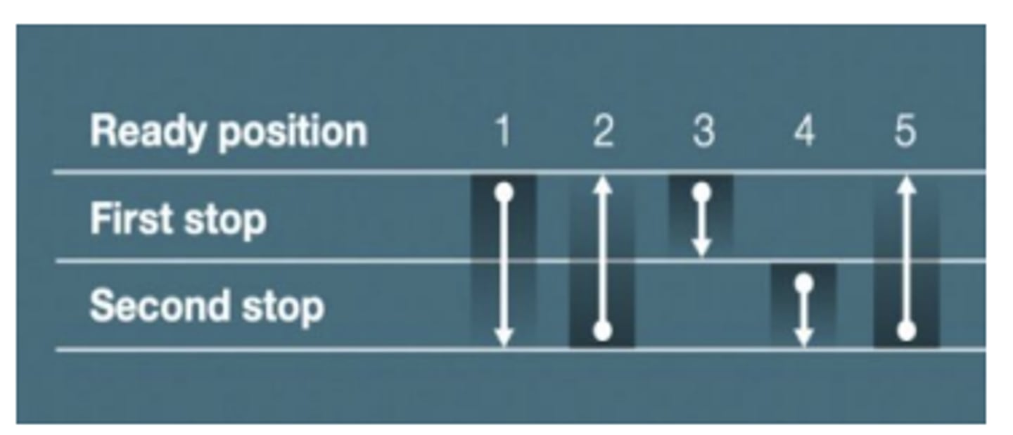 <p>Reverse Technique</p>